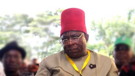 2023 elections: Bad day for Nigerian politicians as Court sacks LP's candidate for top seat