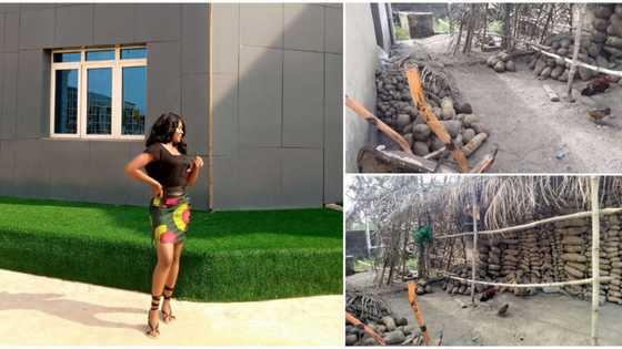 Stunning video as Nigerian lady shows off her uncle's mini yam barn in the village, blows netizens away