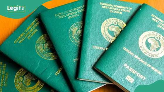 Immigration announces new fee for Nigerian passport, commencement date, other details