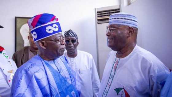 Tsohon Shugaban Tsagerun Neja Delta Ya Bayyana Goyon Bayansa ga Tinubu/Shettima