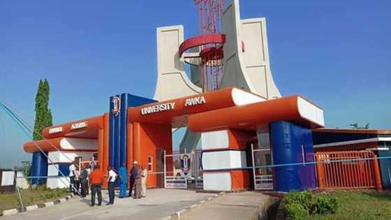 Just In: Huge tragedy as gunmen shoot popular university lecturer dead in southeast state