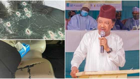 This is tragic - Former senator reacts to bandits' attack on Emir of Birnin Gwari's convoy
