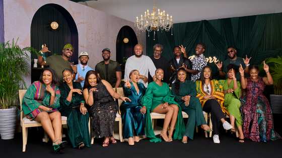Knorr teams up with creators to inspire a new wave of joyful home cooking