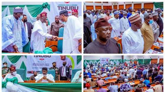 Da Dumi-Dumi: Yan Majalisar dokokin tarayya sun kaɗa kuri'a kan takarar Tinubu a 2023