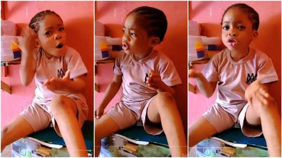 "You don born person wey senior you": Little girl smartly drags mum over yelling habit, funny video trends