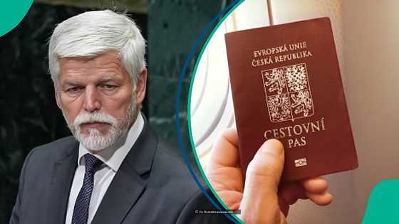 Czech Republic lists 3 groups of people who can claim citizenship through declaration