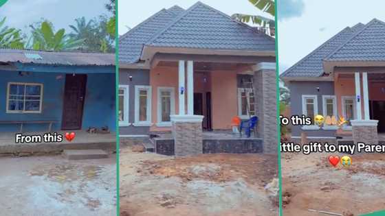 "Gift for my parents": Man builds beautiful house for his mum and dad, moves them From old building
