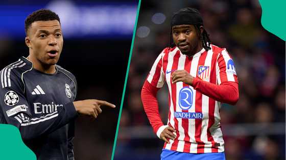 Oracle cat predicts winner of Real Madrid vs Lookman's Atletico