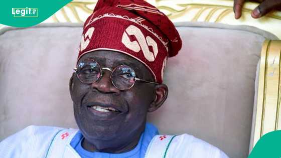 We were offered N200m bribe to stage protest against Tinubu, Matawalle, northern group opens up