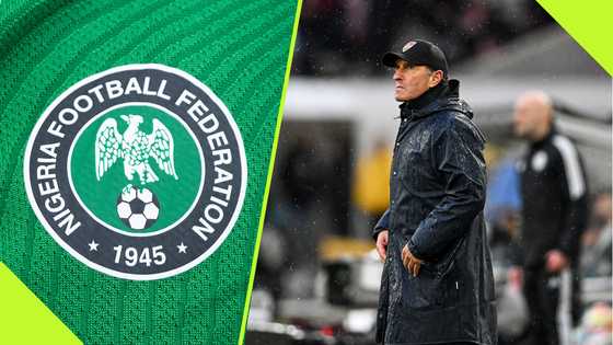 NFF reportedly eyes former Bayer Leverkusen manager for Super Eagles head coach role