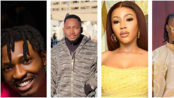 Big Brother Naija: How the Show Boosted the Careers of Past Winners