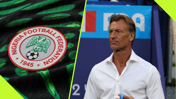 NFF to use unique strategy to cover Herve Renard’s salary: report