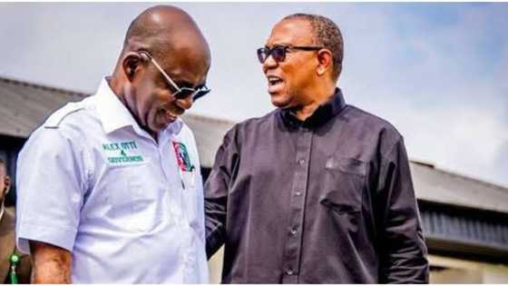 “Declare Abia, Enugu results immediately,” Peter Obi urges INEC