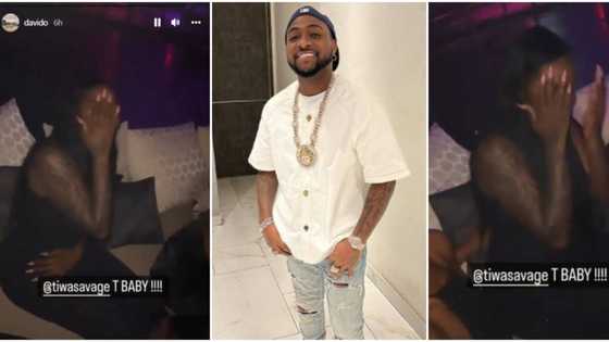 "T baby": Davido hypes shy Tiwa Savage as they party after CAF Awards performance in Morocco