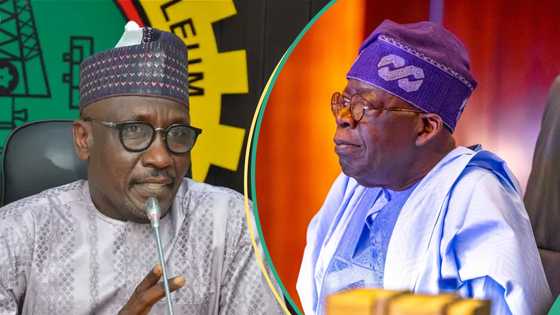 Zanga zanga ta barke a Majalisa, an bukaci Tinubu ya dauki mataki kan Mele Kyari