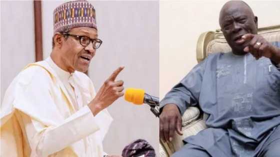 2023 presidency: Shattered dreams for Tinubu? Afenifere reveals who cabal wants to succeed Buhari