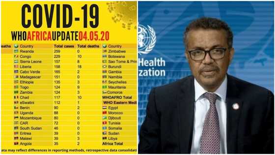 44,034 COVID-19 cases, 1,788 deaths: WHO releases updated list of African countries with highest records (see Nigeria's position)