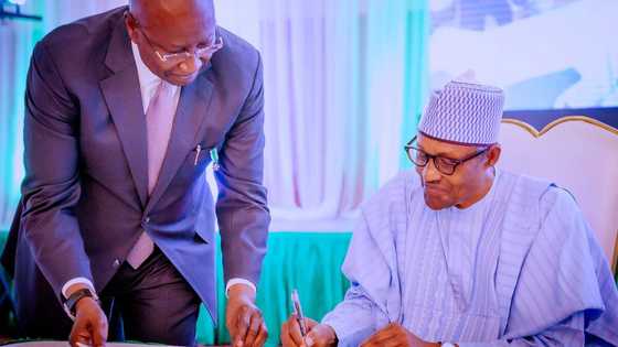 Just in: President Buhari makes crucial appointment in NDDC