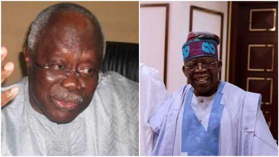 Flashback: "I will cease to be a Nigerian if Tinubu becomes president," PDP chieftain, Bode George declares