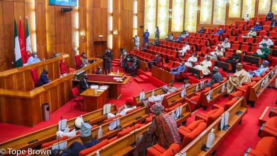 APC ta Rasa Duka Sanatocinta a Jihar Arewa, An Yi Sukuwa a Kan Jam’iyya Mai-Ci