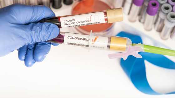 Trouble as 2 Nigerian travellers test positive for Omicron COVID-19 variant in Canada