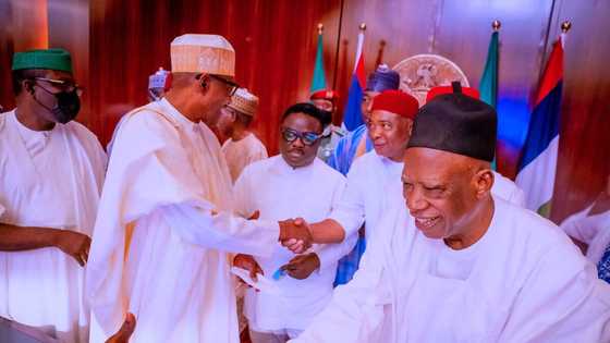 5 APC presidential aspirants who may be picked as Buhari's preferred successor