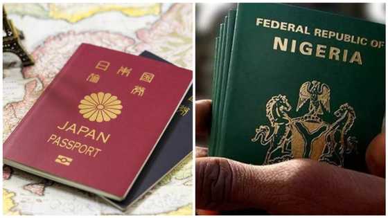 This is the strongest passport in the world with visa-free access to many countries in 2020