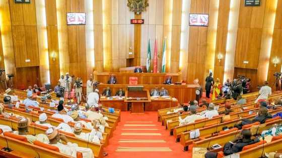 Senate reacts to killing of over 120 Nigerians in Sokoto market, holds 1-minute silence