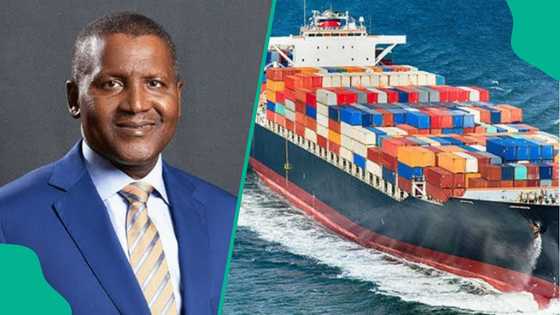 Dangote highlights how Nigeria can create 500,000 jobs, bigger exports, stronger economy
