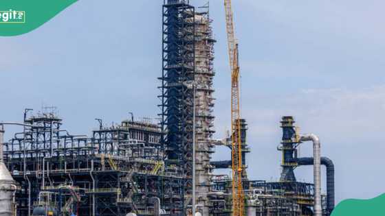 “There'll be consequences”: FG moves to force oil firms to supply crude to Dangote, other refineries