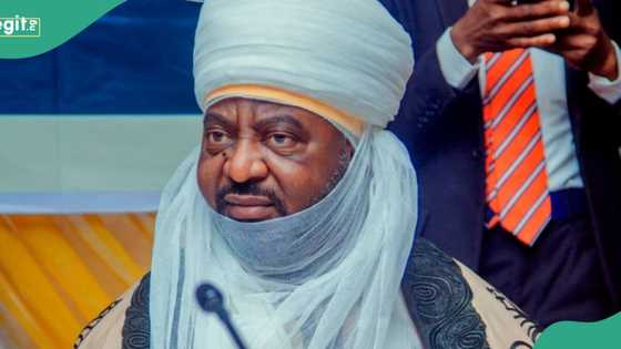 Eid al-Adha: Arewa youths advise Ado Bayero amid Kano Emirate tussle