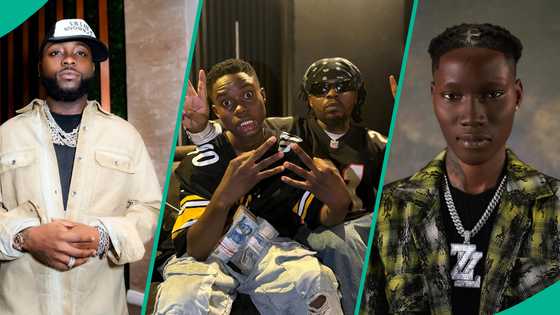 Peller: Zinoleesky, Davido, other popular stars who have appeared on TikToker's live stream