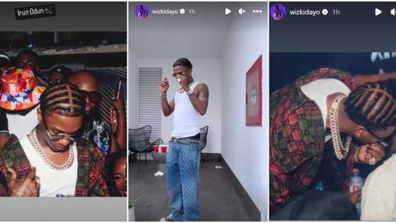 "No be Tife be that": Photos of Wizkid's new hairstyle drives ladies nuts, fans react with too much 'awwwn'