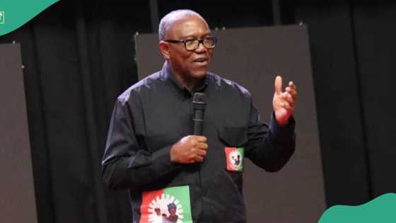 2027 Presidency: Peter Obi to Dump Labour Pary, Join SDP? Atiku's Aide Spills