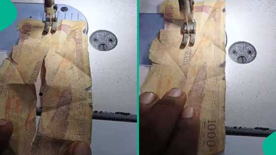 Man uses sewing machine to repair torn currency note, many react as video goes viral