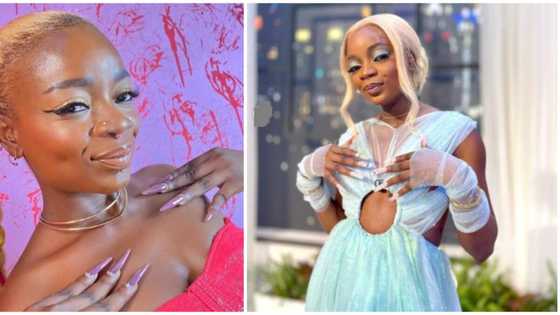 "Who is her stylist?" BBNaija fans troll Arin over her tulle outfit at reunion show