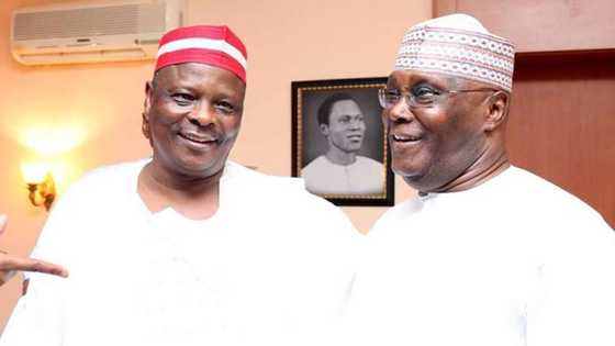 2023: Manyan Arewa Sun Sa Baki Kwankwaso Zai Janye Wa Wani Dan Takara? Gaskiya Ta Fito