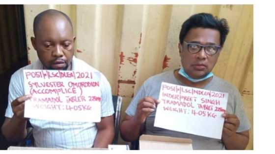 NDLEA intercepts 2 million capsules of Tramadol at Lagos port, nabs Indian man