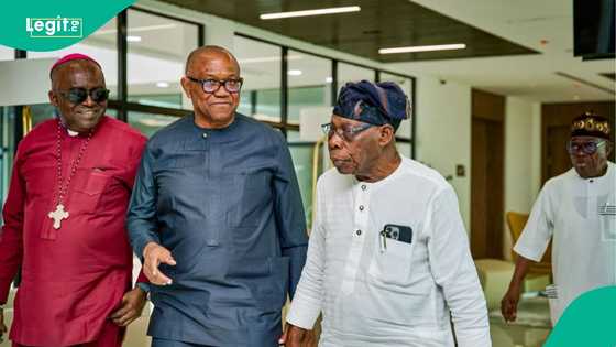 Peter Obi meets Obasanjo amid sponsorship controversies