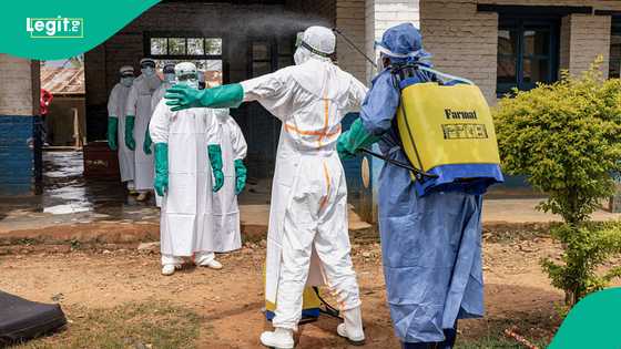 Federal government releases list of 21 states, FCT at high risk of Ebola infection