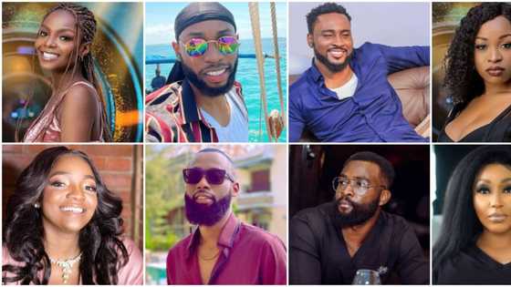 Jackie B, Pere, Peace, and other BBNaija housemates who look like popular Nigerian celebrities