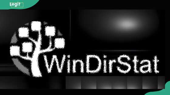 Here are 10 WinDirStat alternatives to help manage your disk space