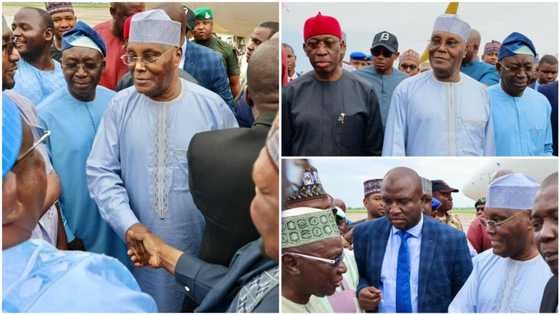 Just in: High profile defection looms as Atiku, Ayu, Lamido, PDP big wigs land in Kano for official reception