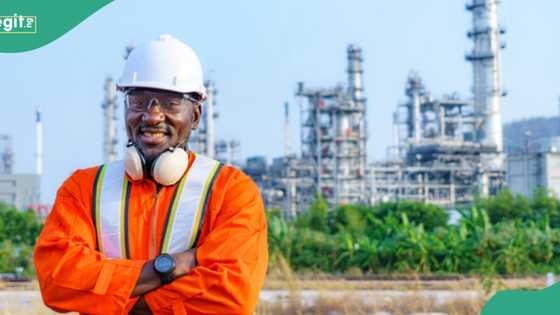 Full list: Dangote, Warri, Port Harcourt, 11 other refineries in Nigeria and their Locations