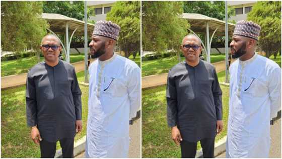 BREAKING: "My duplicates are still on the rampage," Peter Obi reveals brutal encounter