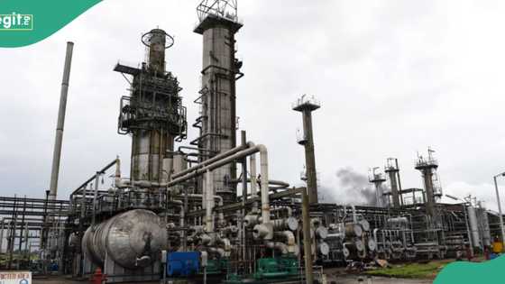 Dangote refinery set to buy another crude oil from us, details emerge