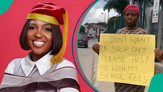 UNILAG graduate shares emotional journey behind her viral street plea for school fees