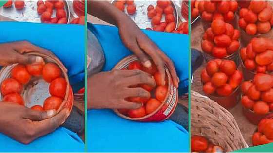 "Everybody shine your eyes o": Nigerian man exposes tomato seller in video over fraudulent act