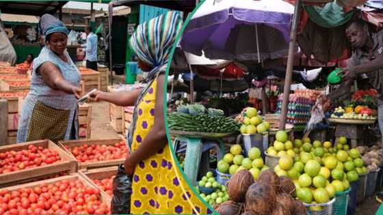 Full list: 10 states with highest cost of food as life gets tougher for Nigerians