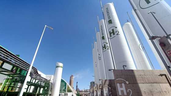 Windfall tax backlash menaces Spain's green energy sector